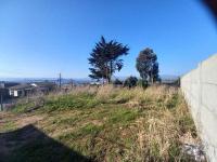 imagen-2